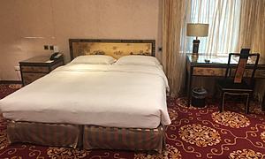 防疫旅館小幫手 防疫旅館小幫手